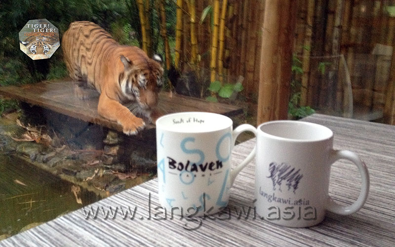 Tiger! Tiger! Cafe