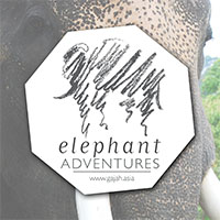 #LangkawiElephantAdventures